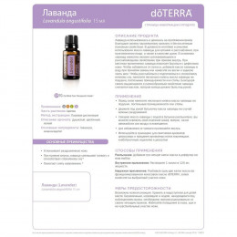 Лаванда Lavandula angustifolia