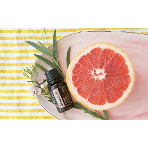 Грейпфрут Citrus X paradisi