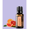 Грейпфрут Citrus X paradisi