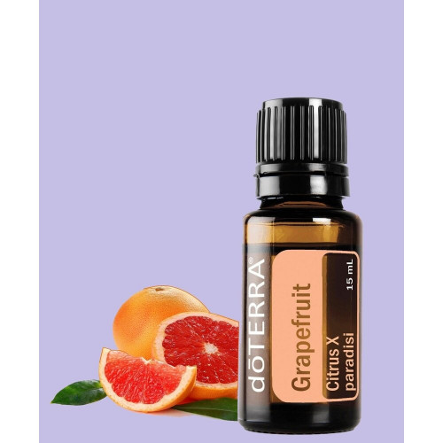 Грейпфрут Citrus X paradisi