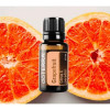 Грейпфрут Citrus X paradisi