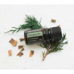 Масло дугласовой пихты Pseudotsuga menziesii