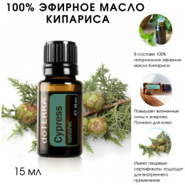 Кипарис Cupressus sempervirens