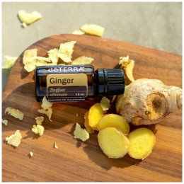 Имбирь Zingiber officinale