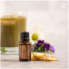 Имбирь Zingiber officinale