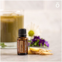 Имбирь Zingiber officinale