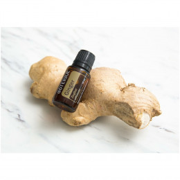 Имбирь Zingiber officinale