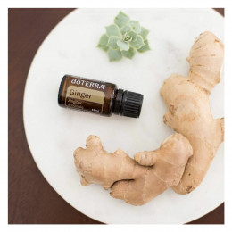 Имбирь Zingiber officinale