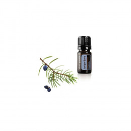 Можжевельник Juniperus communis