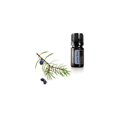 Можжевельник Juniperus communis