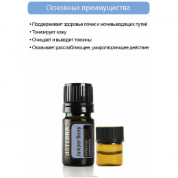 Можжевельник Juniperus communis
