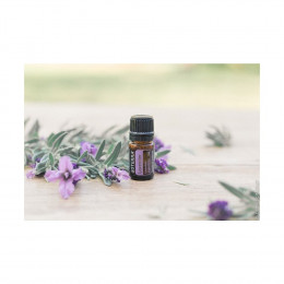 Лаванда Touch Lavender Touch