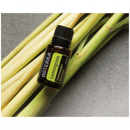 Лемонграсс Cymbopogon flexuosus