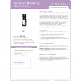 Мелисса Melissa officinalis