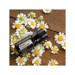 Римская ромашка Roman Chamomile
