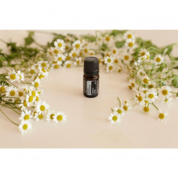 Римская ромашка Roman Chamomile
