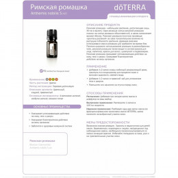 Римская ромашка Roman Chamomile