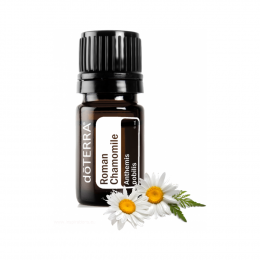 Римская ромашка Roman Chamomile