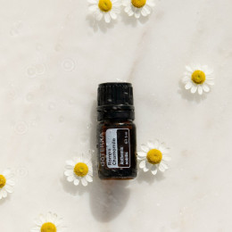 Римская ромашка Roman Chamomile