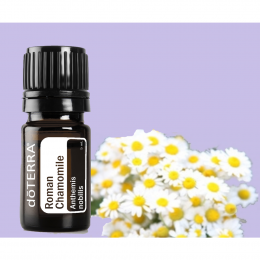 Римская ромашка Roman Chamomile
