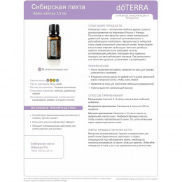 Сибирская пихта Abies sibirica