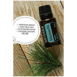 Сибирская пихта Abies sibirica