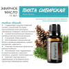 Сибирская пихта Abies sibirica