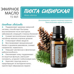 Сибирская пихта Abies sibirica