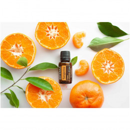Мандарин Citrus reticulata
