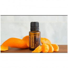 Мандарин Citrus reticulata