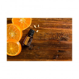 Мандарин Citrus reticulata