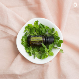 Майоран Origanum majorana