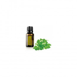 Майоран Origanum majorana