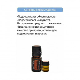 Корица Cinnamomum zeylanicum