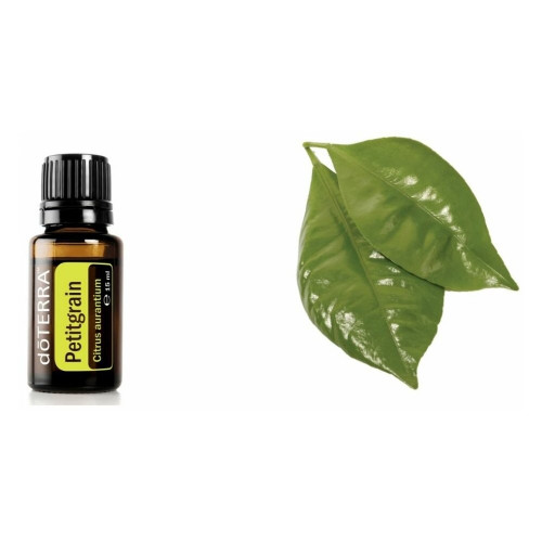 Петитгрейн Citrus aurantium