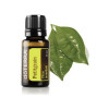 Петитгрейн Citrus aurantium