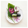 Петитгрейн Citrus aurantium