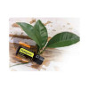 Петитгрейн Citrus aurantium