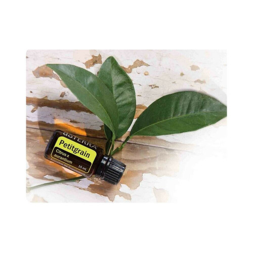 Петитгрейн Citrus aurantium