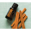 Кассия Cinnamomum cassia