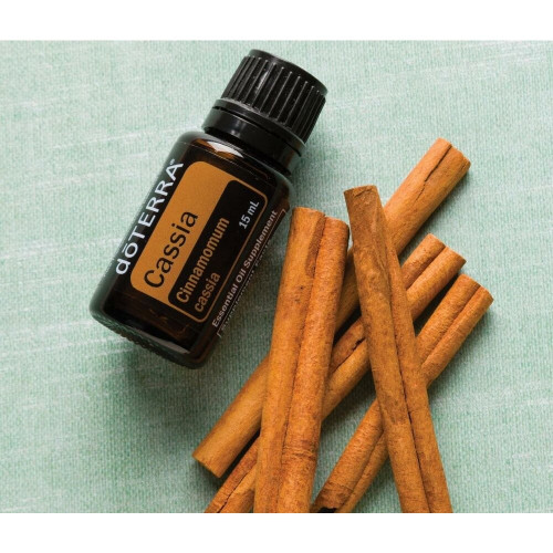 Кассия Cinnamomum cassia