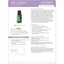 Садовая мята Mentha spicata