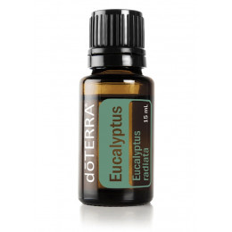 Эвкалипт Eucalyptus radiata