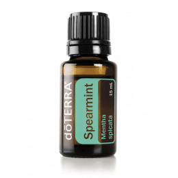 Садовая мята Mentha spicata