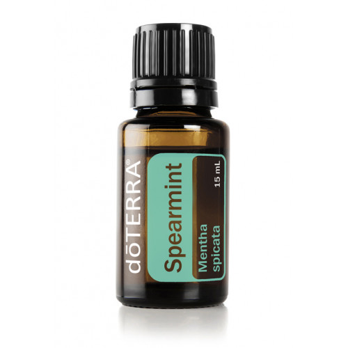 Садовая мята Mentha spicata