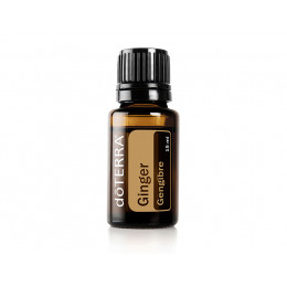 Имбирь Zingiber officinale