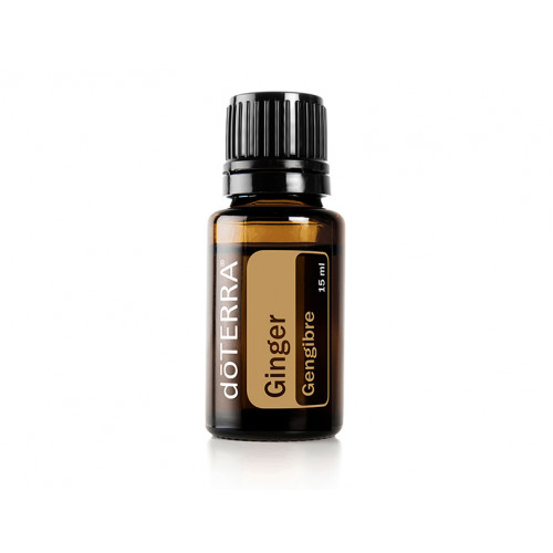 Имбирь Zingiber officinale