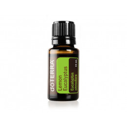 Лимонный эвкалипт Eucalyptus citriodora