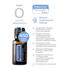 Мята перечная Mentha piperita